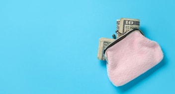 Pink plush wallet with a bit of cash