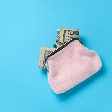 Pink plush wallet with a bit of cash