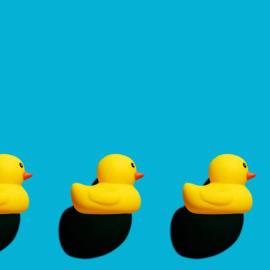 Rubber duck stands out from the crowd.