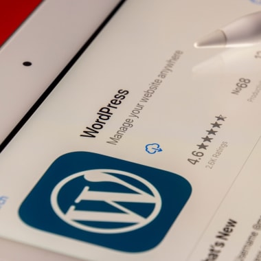 wordpress chatbot
