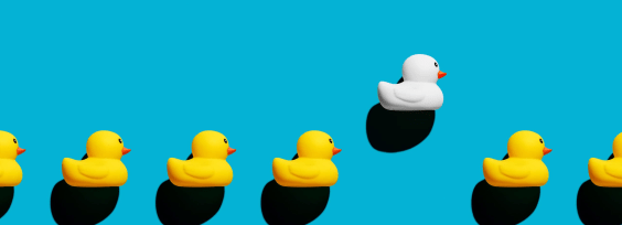 Rubber duck stands out from the crowd.